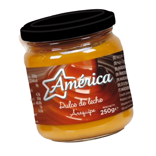 DULCE DE LECHE AMERICA X 250 GR